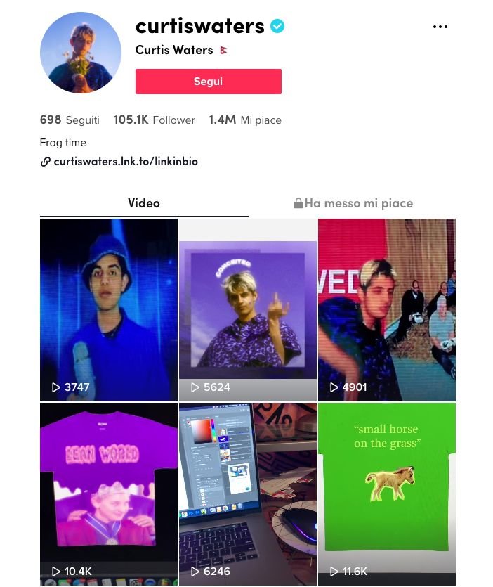 Artisti emergenti in TikTok 2020